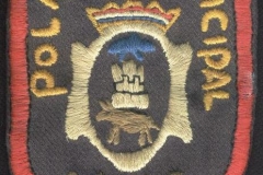ESCUDO BRAZO (ant)