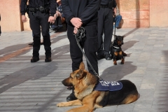2016_Unidad Canina