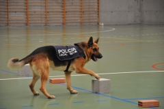 2013_Exhibición 015