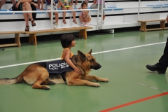 2013_Exhibición 060
