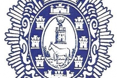 Escudo PL Mula_azul