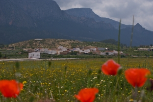 panoramica de casas nuevas