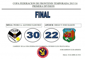 copa federacion final
