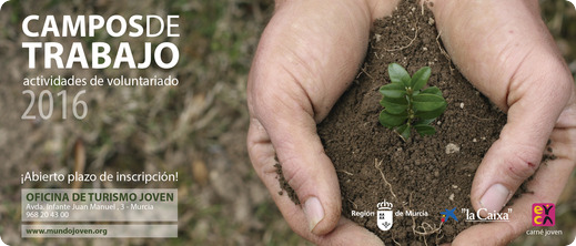 imagen campo de trabajo