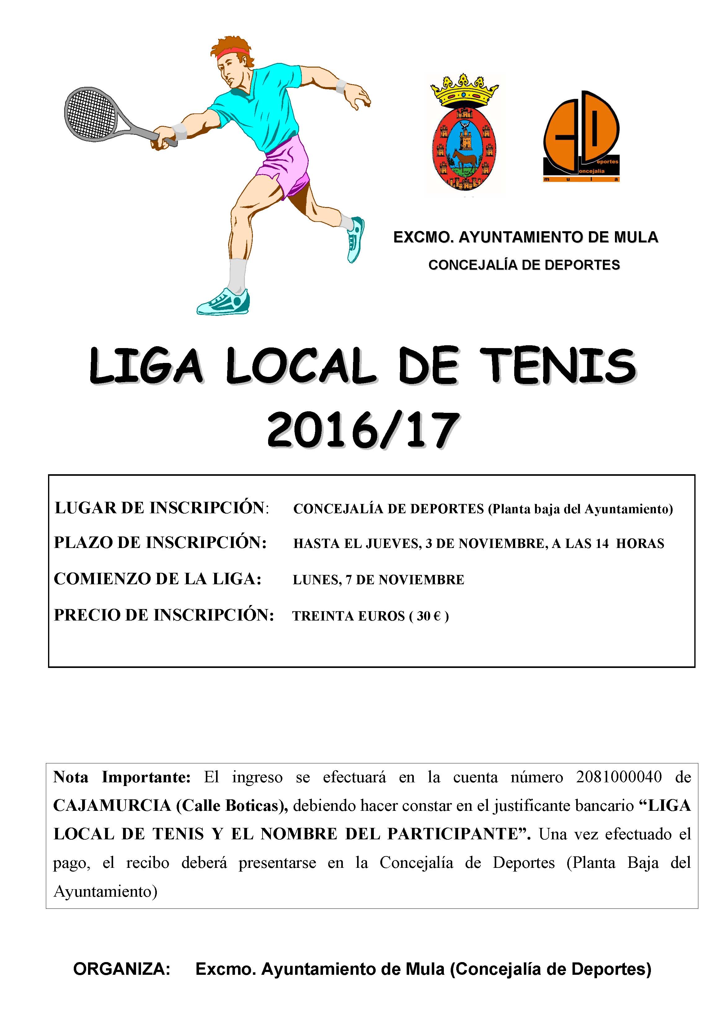 liga local de tenis 2016-17