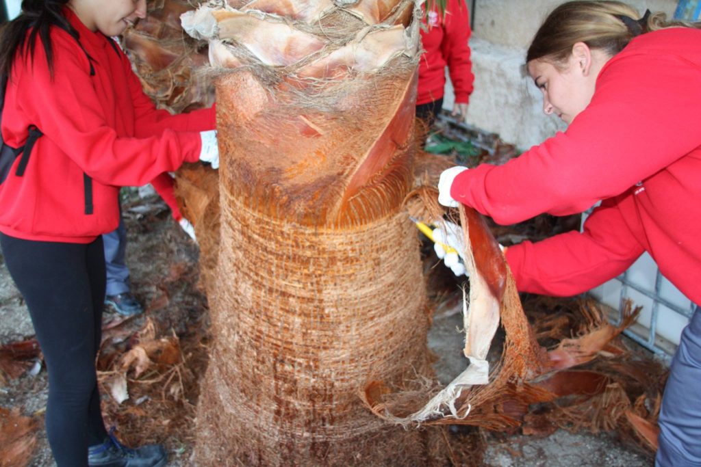 Escuela Taller paseo jardinería 2