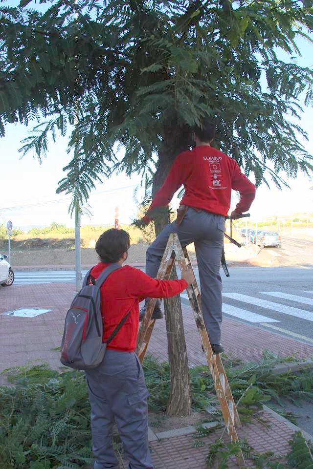 Escuela Taller paseo jardinería 3