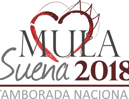 Revive la Tamborada Nacional Mula Suena 2018 – Grabaciones de eventos retransmitidos en directo