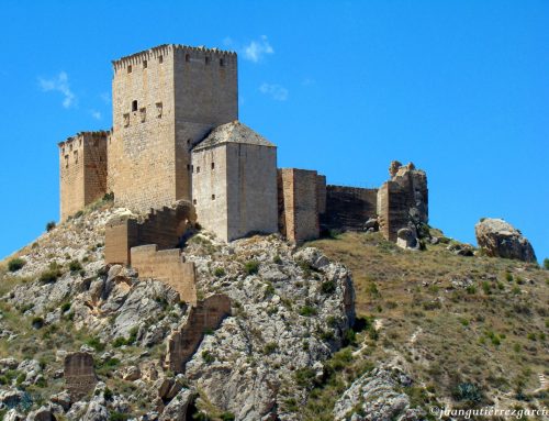 Presentación del Plan Director del Castillo de Mula