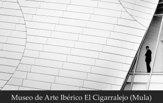 expo_foto_de_paso_al_vuelo