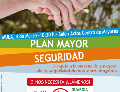 «Plan Mayor Seguridad» – 4 de marzo