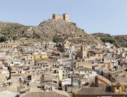 Mula: mucho por descubrir