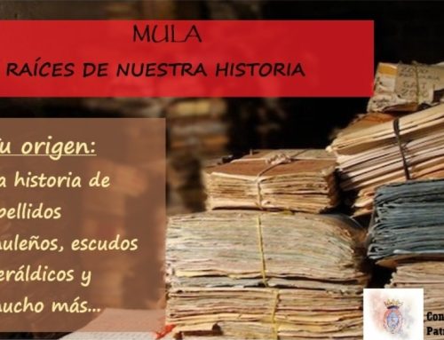 Raíces de nuestra historia: orígenes familiares