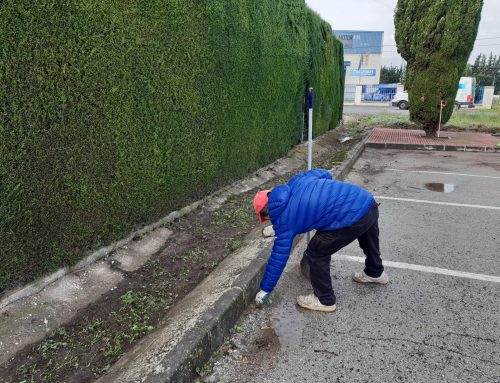Servicios Municipales cuenta con la colaboración de Intedis para la adecuación de los aledaños del cementerio municipal