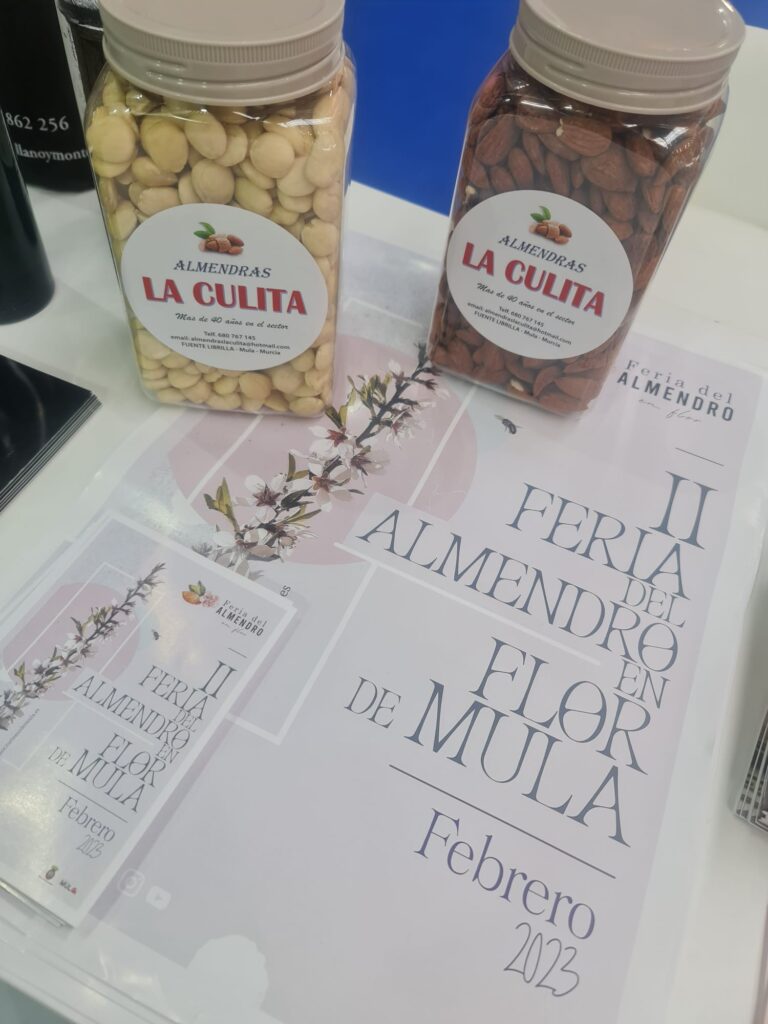 Promoción Feria del Almendro en Flor-INTUR