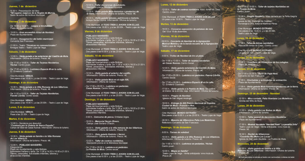 Programación Navidad 202 -1