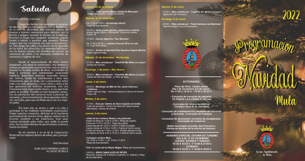 Programación Navidad 2022 - 2