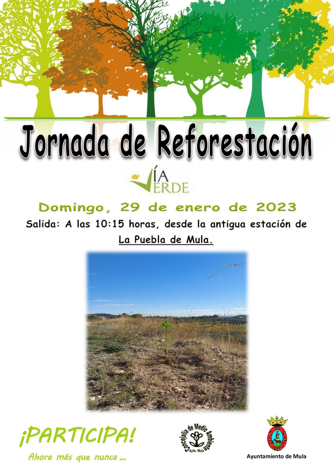 Jornada de Reforestación - 29 de enero.