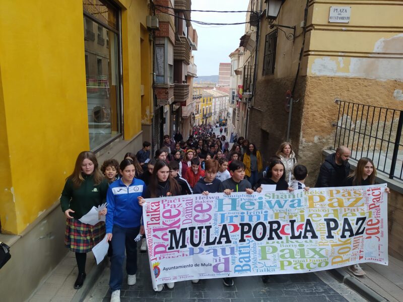 EDUCACIÓN| Los centros escolares de Mula salen a la calle con motivo ...