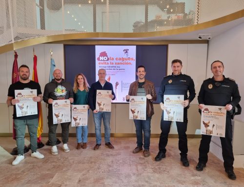 BIENESTAR ANIMAL| ‘No la cagues, evita la sanción’, nueva campaña de protección de animales de compañía
